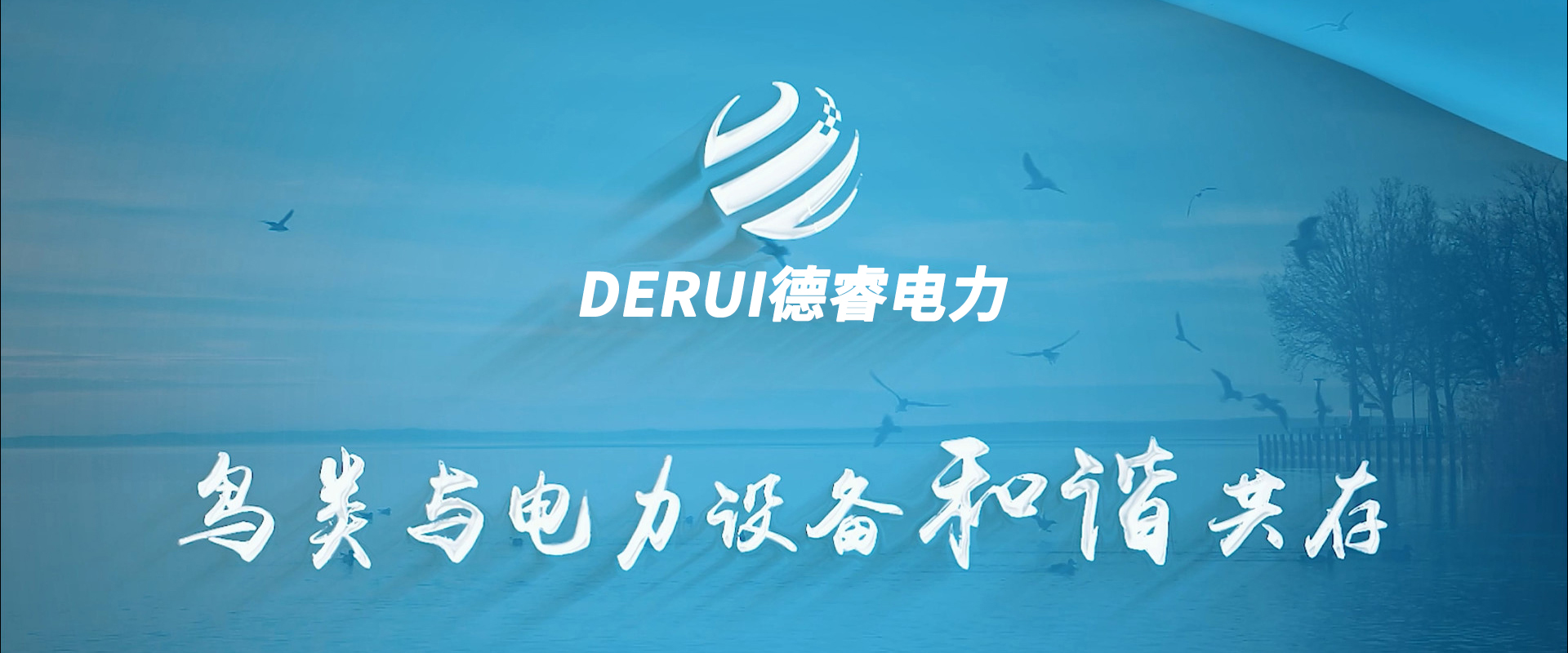 首页